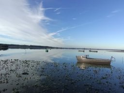 Mes photos 2026 &raquo; 2026-09-13 - saint-aignan-de-grandlieu - 44